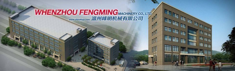 نوع واحد دستگاه چاپ فلیکسو فنگمینگ با مجوز CE